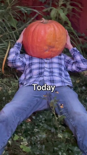 Replying to @clawquest2 Carving the perfect halloween pumpkin…with the help of @photomath #getmathwithphotomath #pumpkinseason #ad