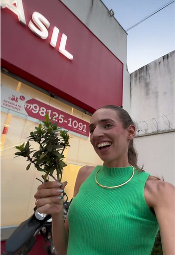 Como cultivar e cuidar da planta Ixora