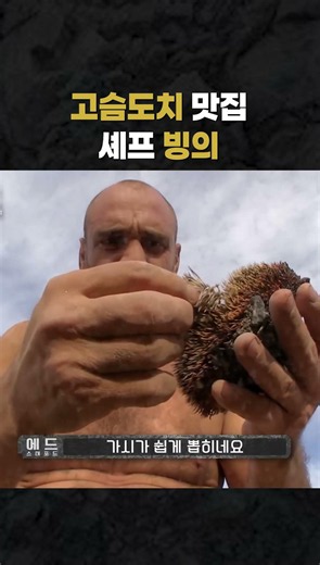 고슴도치 맛집 셰프 빙의