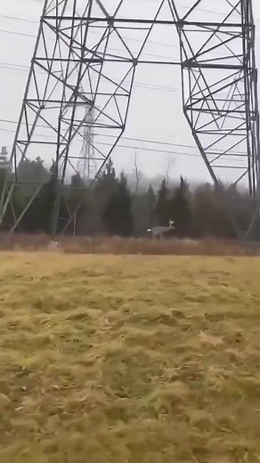 15K views · 447 reactions | Now thats a big buck! #deer #deerhunting #deerfieldbeach #deerpark #deerhunter #deerseason #unitedstate #california | DeerHunter | Facebook