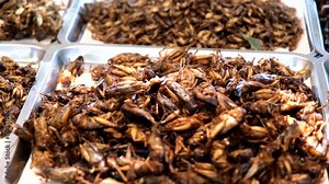Varieties of edible cooked or fried insects, bugs, and crickets are displayed for tourists to buy.