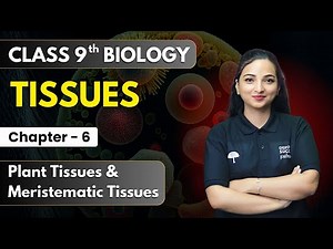 Tissues - Plant Tissues & Meristematic Tissues | Class 9th Biology Chapter 6 | Cbse 2025-26