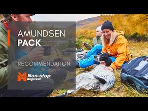 Amundsen pack - Dog backpack