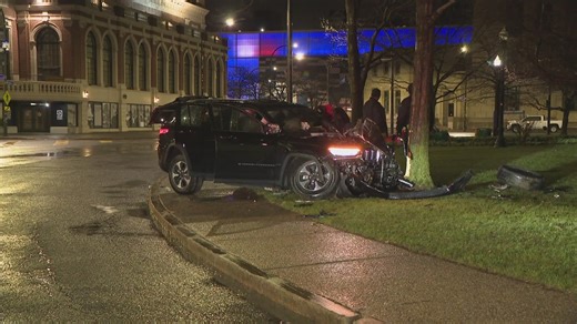 Niagara Square sees car crash into tree with no reported injuries