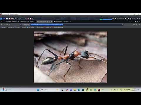 Different CTF | TryHackMe | Complete Walkthrough