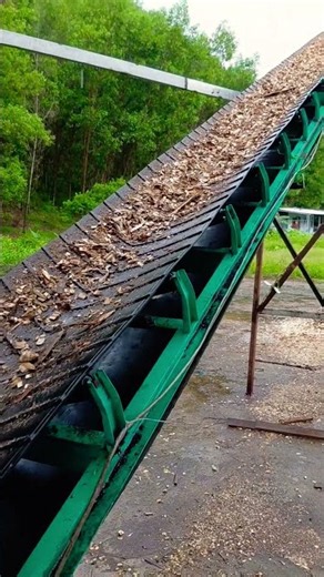 🔥Turning Wood Waste into Valuable Energy