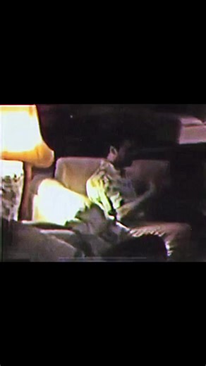 Freddie Mercury's Heartwarming Moments at Garden Lodge