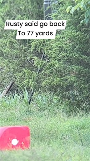 Here’s a 77 yard shot #archery #bow #bowlife #hunting #target | Matt Mckinzie