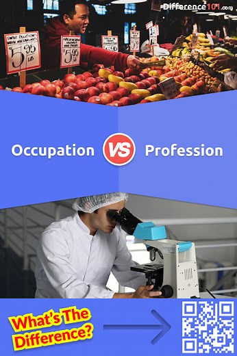 Occupation vs Profession: 10 Key Differences, Pros & Cons