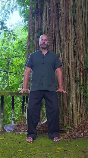Grounding Descending Your Roots #qigongpractice #qigong #earth #roots #connection #grounding #hands