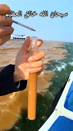 Exploring Islamic Teachings Through Live Quran Sessions