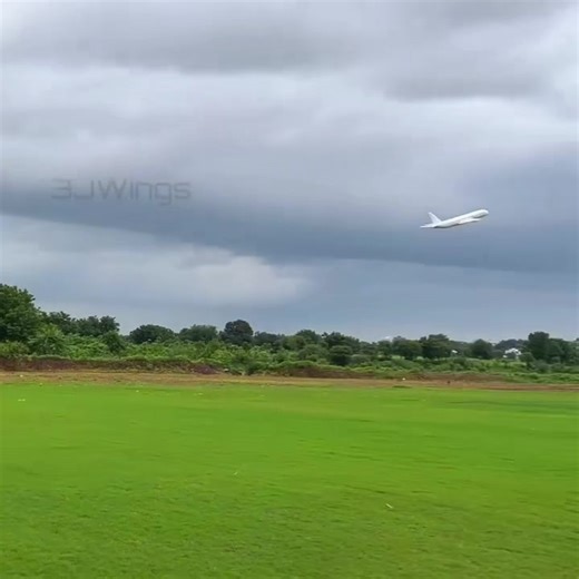 #viralvideo #viralvideo #flowers #fly