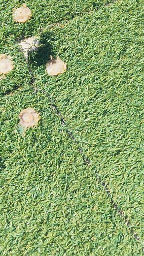 40K views · 1.5K reactions | Spider Park Bar and Restaurant ❤️ | Veekay Simba | Facebook