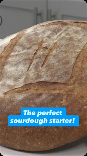 CT Live | We’re talking sourdough with @hartfordbaking . This starter kit will make the perfect loaf! . . Ingredients Bread Flour – 285 grams Water –... | Instagram