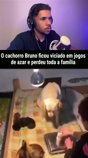Bixin Perdeu Toda a Família