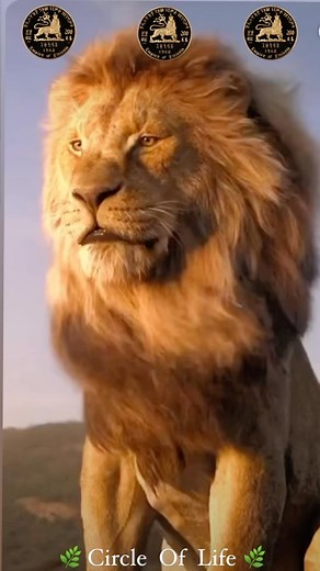 #TheCircle #OfLife #SpiritualAncient @Cultures & #Traditions #InfiniteContinuity @WholenessSafety #andBalance @Circleoflife @isASymbol&Concept #thatexpresses @TheIdeathat #alllifeisConnected #andeverything @goesthrough #ACircleofBirth👁️ #deathandRebirth #TheCircleoflife @TheConcept | Nandie Hatsepsut Nzingar