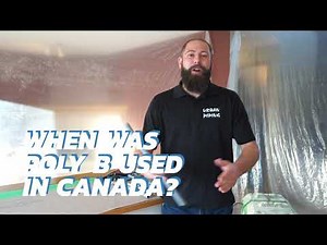 Poly B in Canada: A Quick Guide