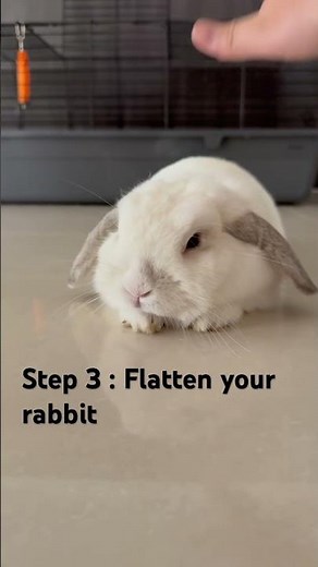 How to make a long rabbit loaf! #rabbit #bunny loaf #cute rabbit