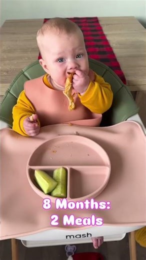 The Best Baby-Led Weaning Foods & Starting Solids #blw #babyfood #babyledweaning