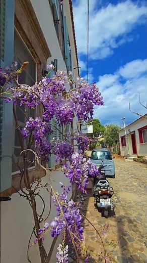 It's time to go to Cunda Island 🌸❤️🧿🌿 #cunda2026