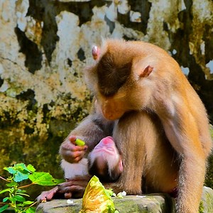 Libby Watch Her Baby Newborn Leo Carefully | Discovery TV