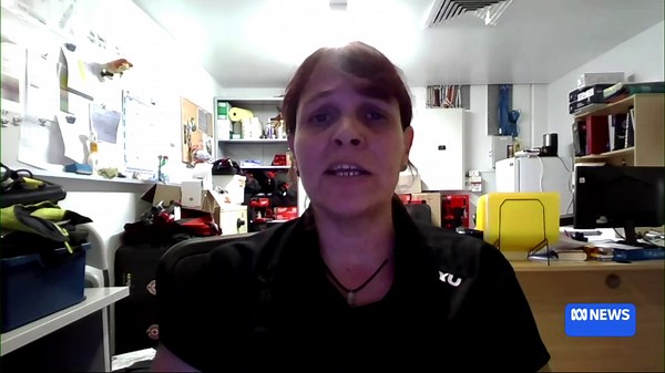 Expert shares cyclone preparation tips as Alfred approaches