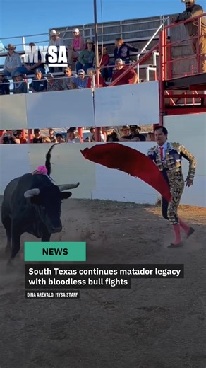 Ole! 🐂⚜️ In rural South Texas, Mexican matadors keep a centuries-old bullfighting legacy alive — with a twist. The fights are bloodless. Read more on the tradition at the link below 🔗 | MySA
