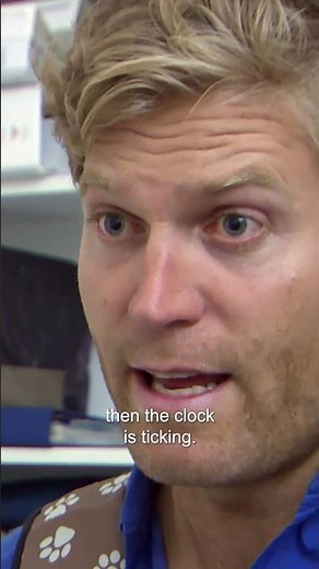 Cat's Tragic Fall Out Of 3-Storey Building 💔 #catday #bondivet #shorts #cat #cats #cutecat