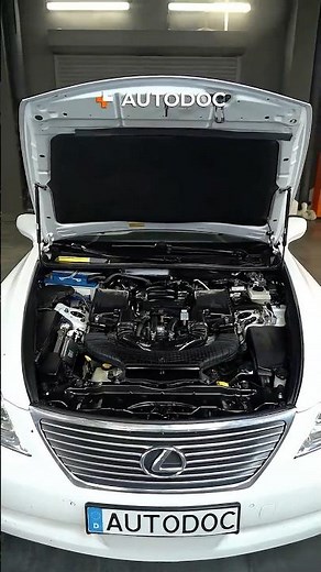 How to clean the engine bay perfectly 🫧💎 #howto #clening #engine #cleanengine #car #auto