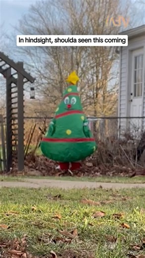 America's Funniest Home Videos on Instagram: "Did he think it was a real tree, or...? 🎄#afv #prank #christmas #funny"