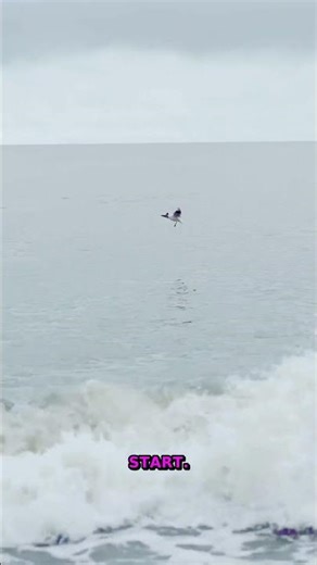 Unlock Your Reading Superpower! | Reading Habits For Young Minds