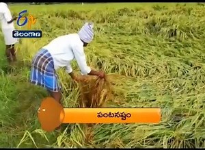 ETV 360 News Headlines | ETV Telugu