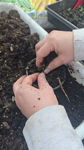 Spring Planting at The Gardens