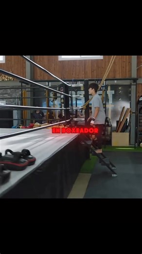 1M views · 37K reactions | Shark the beginning #peliculasrecomendadas #Netflix | Carlos Ramírez | Facebook