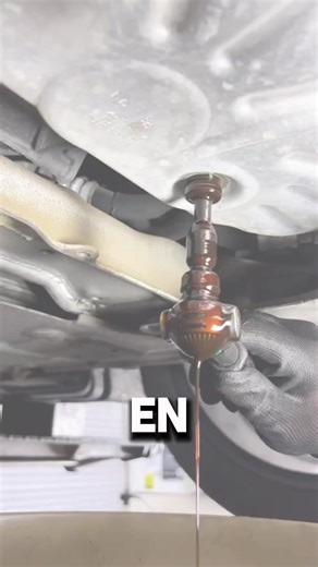 En france, etre mecano c'est vraiment hjorrible et les clients sont encore pire.. #mecanique #voiture #anecdote #mecanic