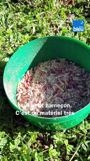 La pêche au coup pour débutant