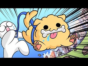 Puppy characteristics 2