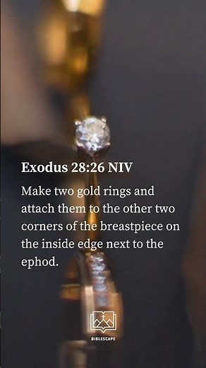 Biblescape ( Exodus 28:26 NIV)