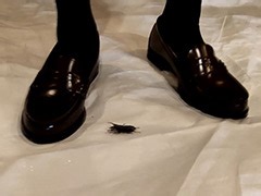 foot-0167 めいちゃんのクワガタCRUSH | DUGA24