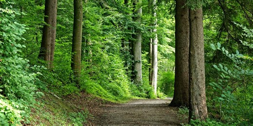 New study looks at how exploring outdoors influences well-being