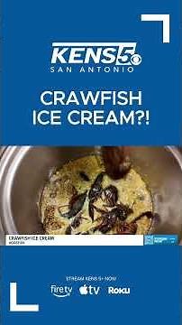 CRAWFISH ICE CREAM?! Here's the Texas ice cream shop where you can try it