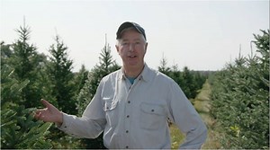 138K views · 746 reactions | Environmentally speaking, real trees are the real deal. See all the reasons why real trees beat artificial ones. #ItsChristmasKeepItReal | Real Christmas Tree Board | Facebook