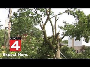 Local 4 News at 6 -- July 12, 2025