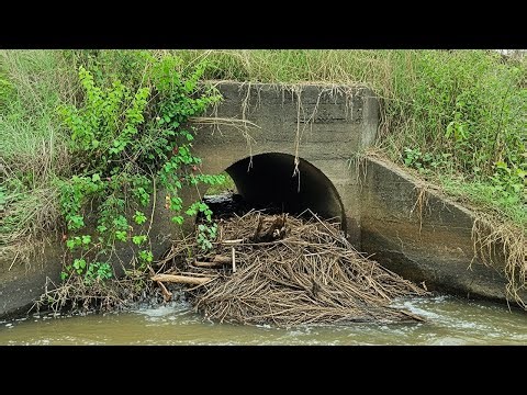 Remove Debris Full Clogged Culvert For Drain