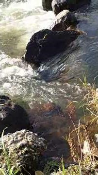 4K Calm: 61 Minutes of Pure Relaxation