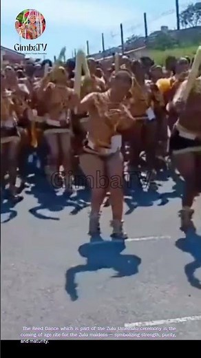 Zulu girls Performing The Africa Zulu Dance 19 #zulumaidens #traditionaldance #reeddance #culture