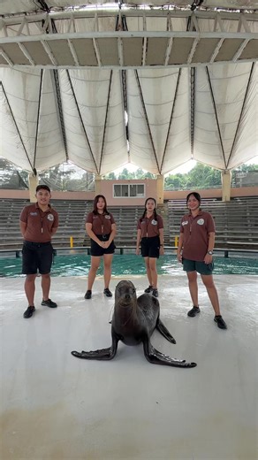 Marine patrolers with Sophie 😁🦭 | Sea Lions