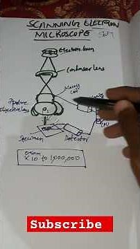 SCANNING ELECTRON MICROSCOPE (SEM) #MICROSCOPE #physics
