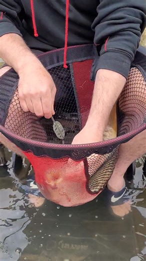 Catching carp is THIS easy with our Method Feeder Pellets. Soak them for 2 minutes, drain off the water, let them sit for 20 minutes and you're ready to go! ☄️ #dynamite #dynamitebaits #methodfeederpellets #hibridz | Dynamite Baits - Match & Coarse