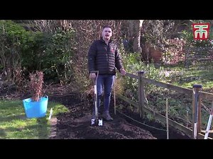 How to plant bare root hedging with Thompson & Morgan